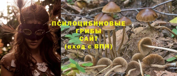 mix Белокуриха