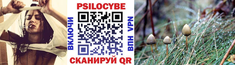 Псилоцибиновые грибы MAGIC MUSHROOMS  Вяземский 